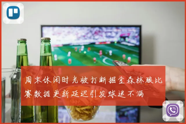 周末休闲时光被打断掘金森林狼比赛数据更新延迟引发球迷不满