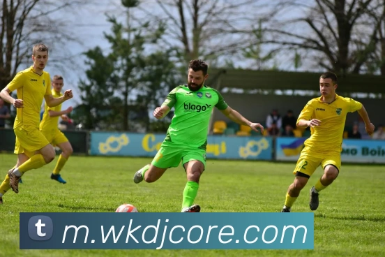 威客电竞平台生态图